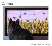 camera
