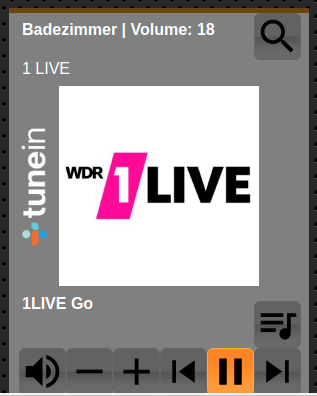 Player view